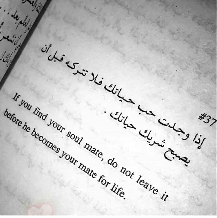 اقوال ممتازة بعض المقولات عن الحب