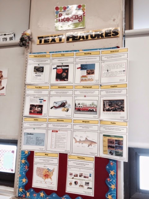 Mrs. Nash's Classroom Blog: Reading Board with Text Features