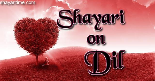 dil love shayari