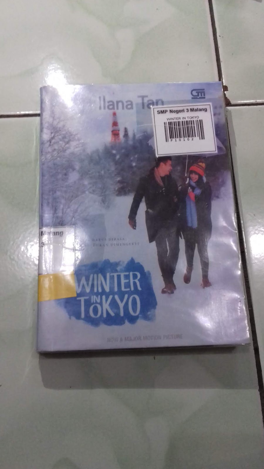 Unsur Intrinsik Novel Winter In Tokyo tugasasikku