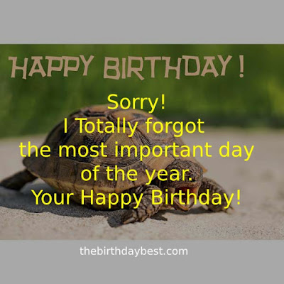 Belated Birthday Wishes for Friend