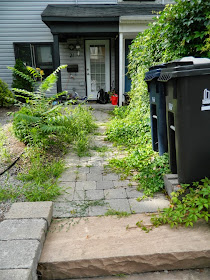 Leslieville garden cleanup front path before Paul Jung Gardening Services Toronto
