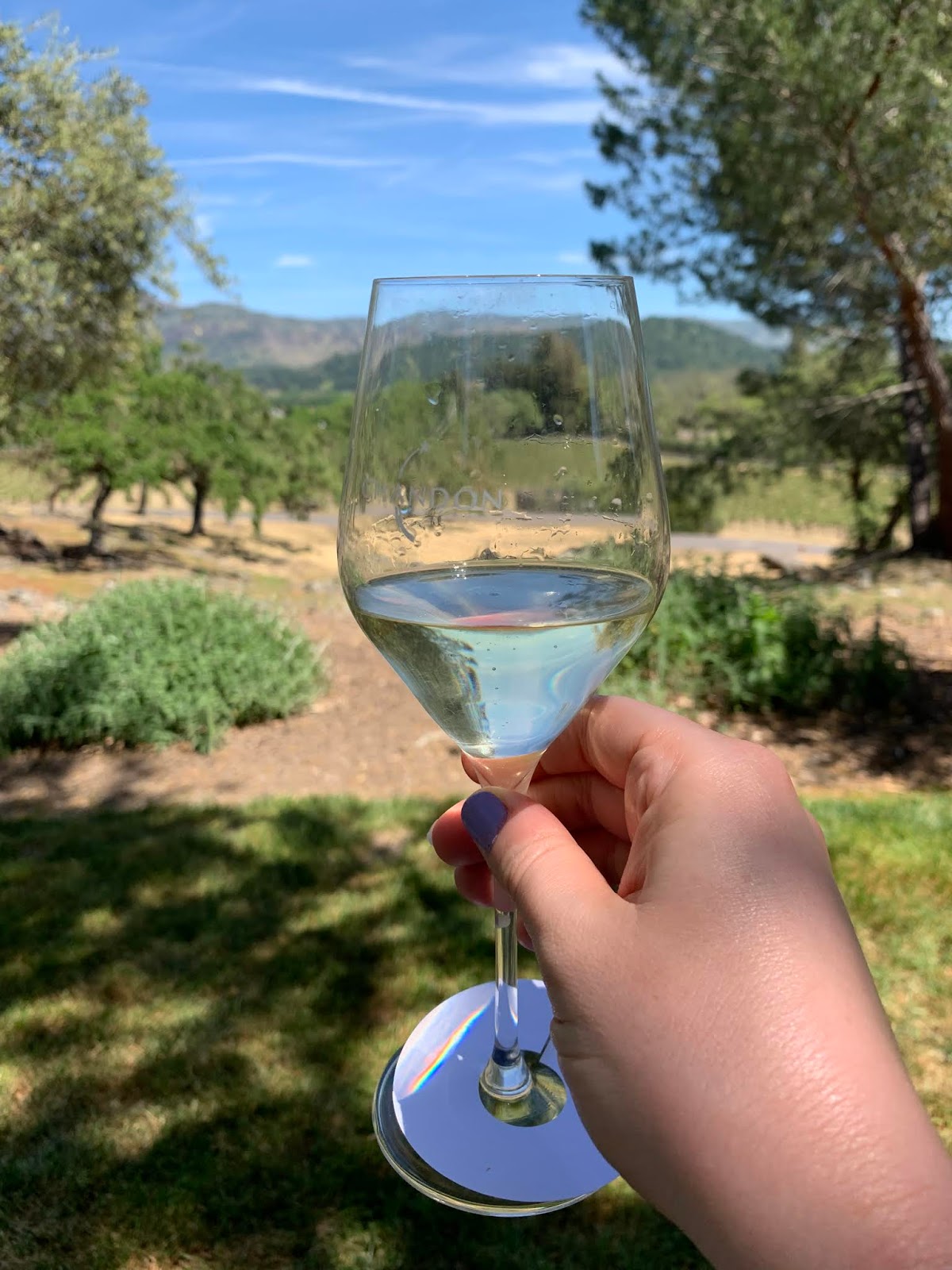 Wine Tasting in Napa, California