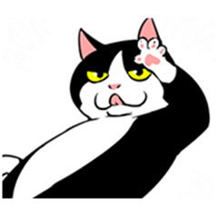 fat neko gifs  WiffleGif