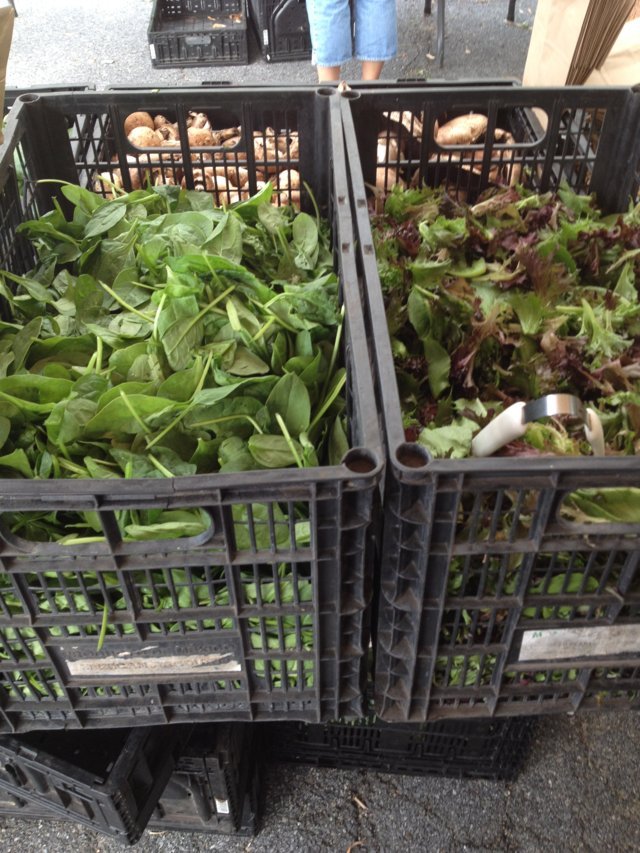 Ramblin' with AM Sustainability Saturday Special Edition Mahopac, NY