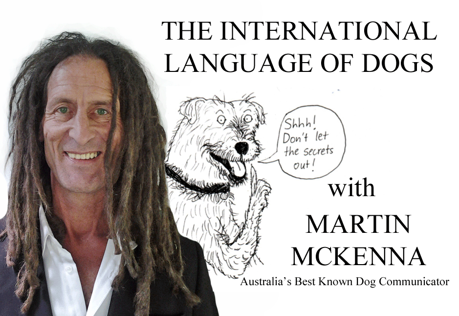 The International Language of Dogs
