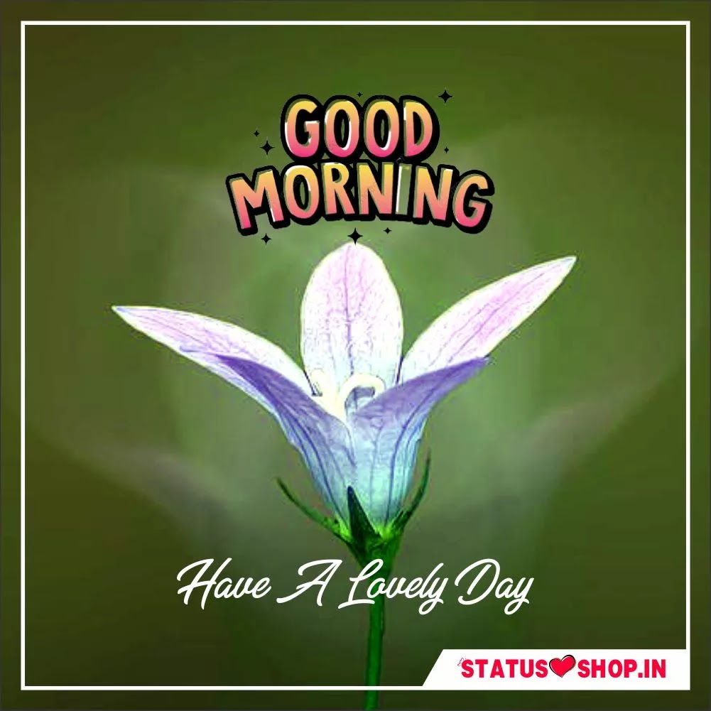 Image Good Morning Image-Good-Morning