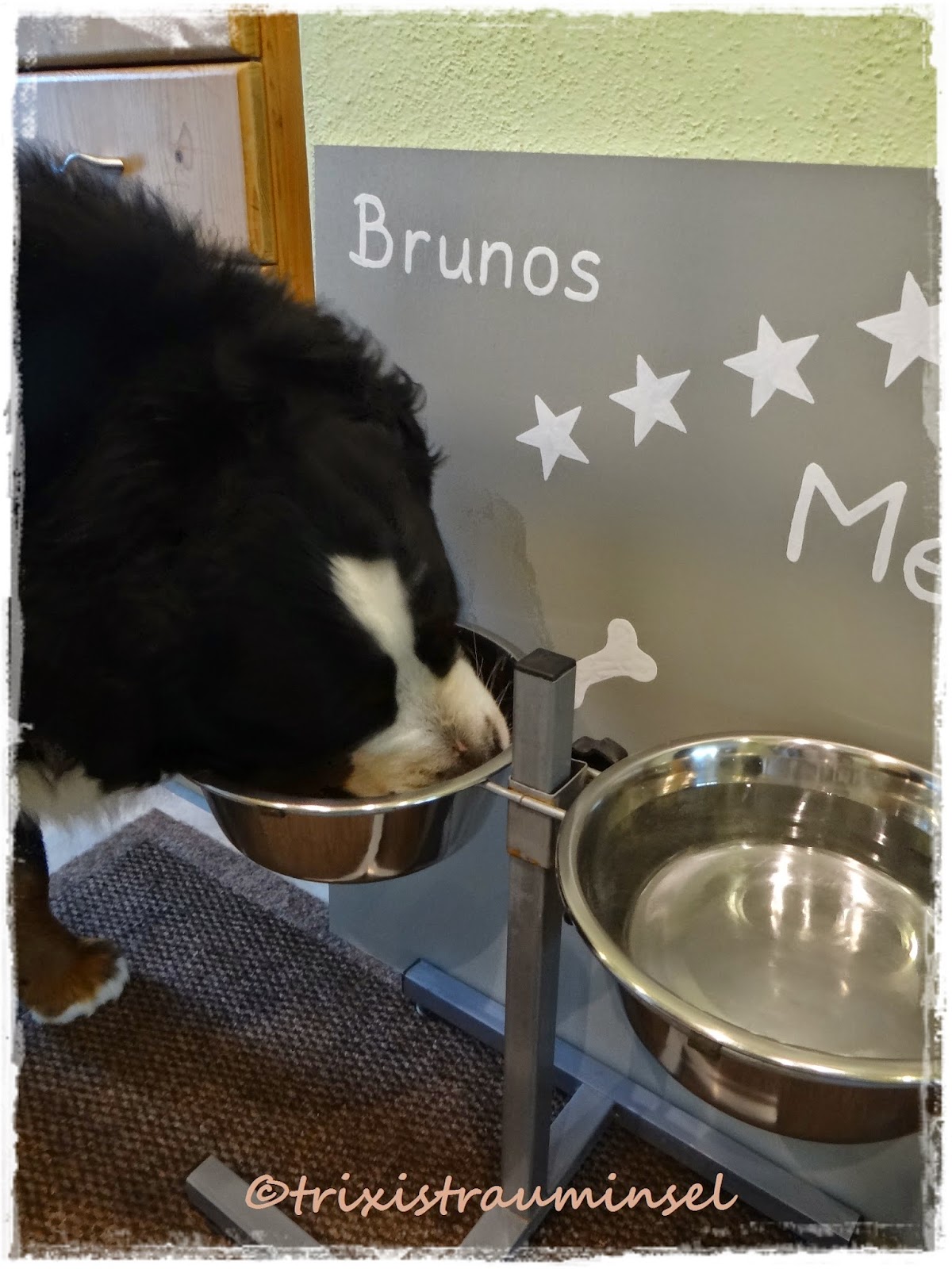 wandschutz_hund — Wenn der Hund lustlos ist