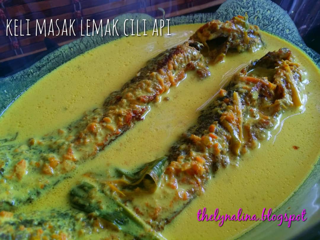 Ikan Keli Masak Lemak Cili Api Mudah Lyns Homelicious