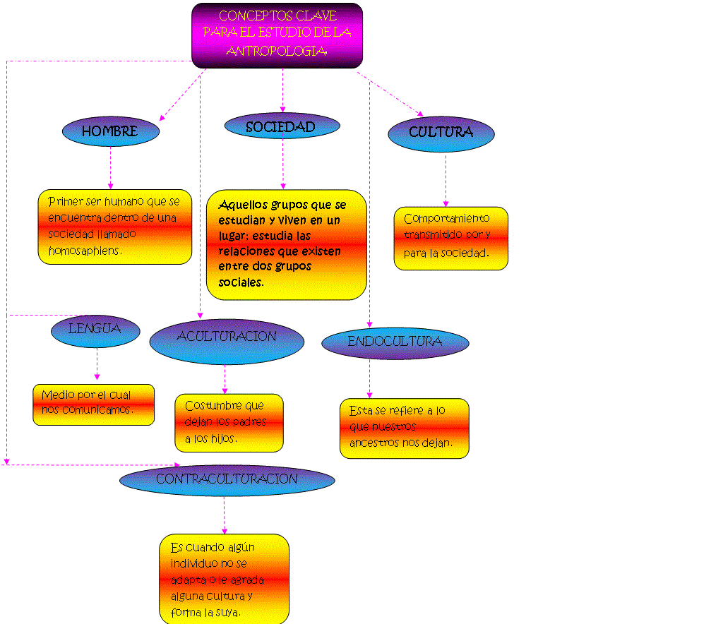 Definición de Antropología Qué es y Concepto