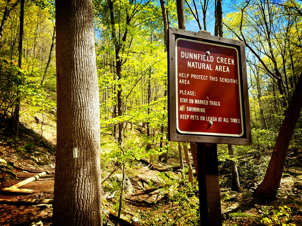 Hiking Trails in NJ and PA Hiking the Mt. Tammany Trails