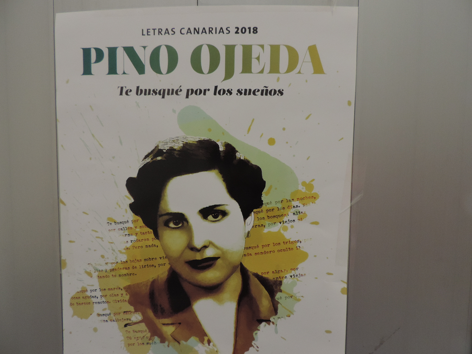 homoerratico Pino Ojeda