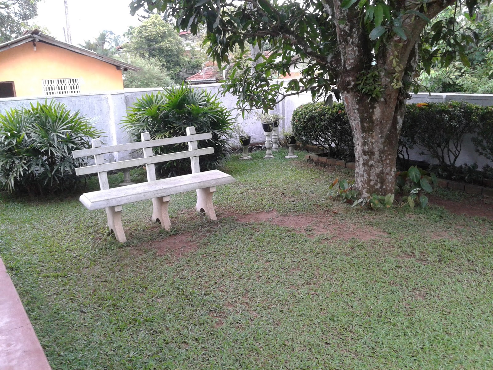 Beautiful location for Wedding photo shoot, Model photo shoot, out door