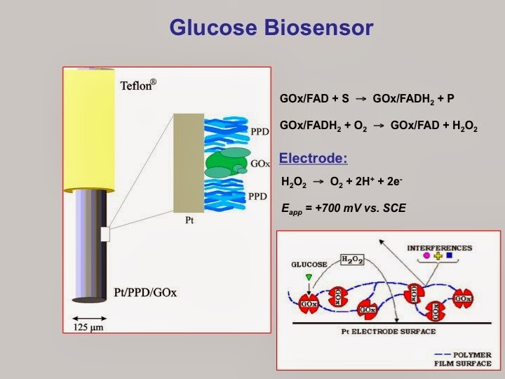 BioResource Electrochemical Detection Methods