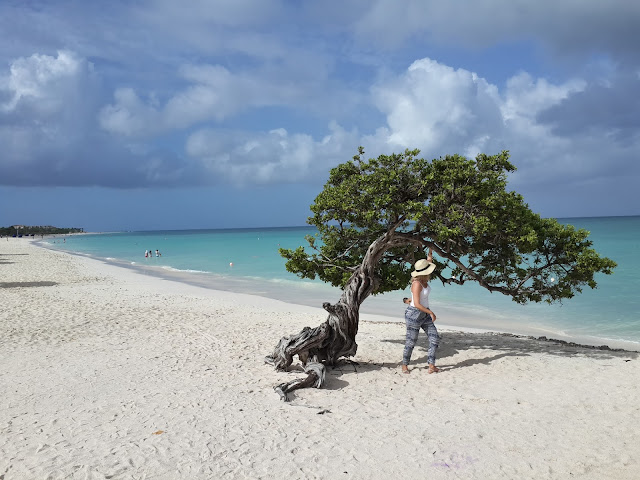 Blog Apaixonados por Viagens - Aruba ou Curaçao?