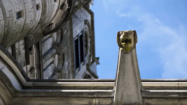 Gargoyle at St. Finbarr's Cathedral in Cork, Ireland