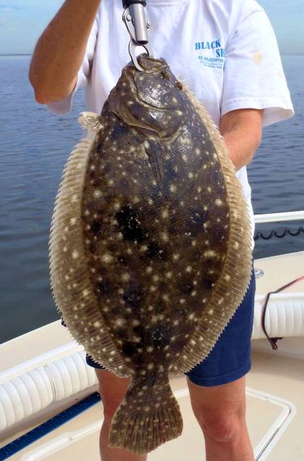 Big Tampa Bay Flounder