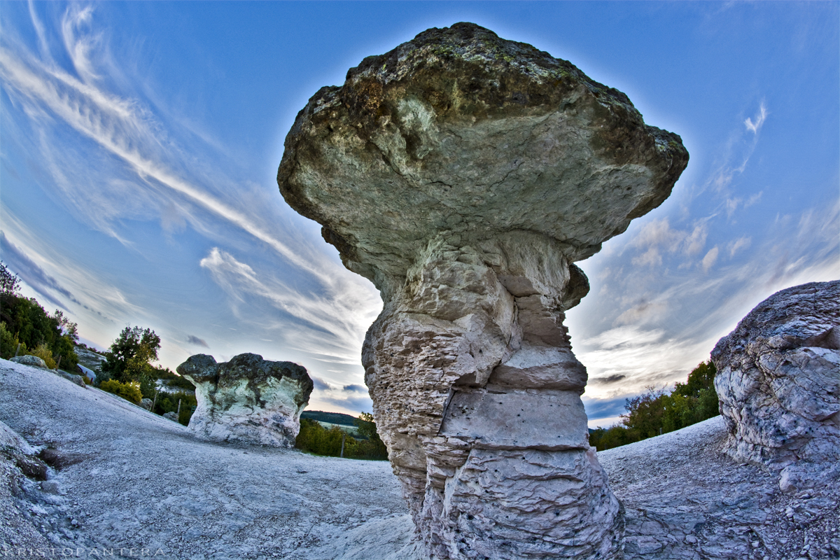 the stone mushrooms