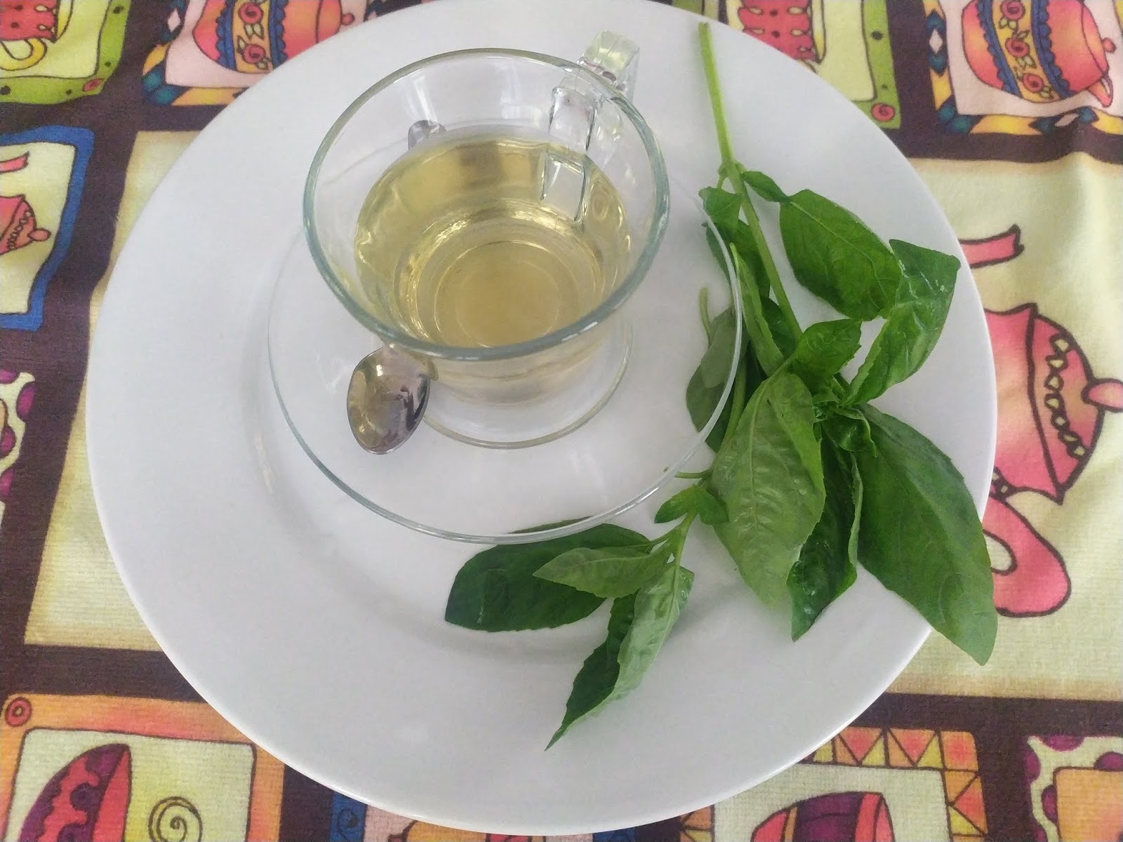 Beneficios que obtienes por ingerir té de albahaca todos los días