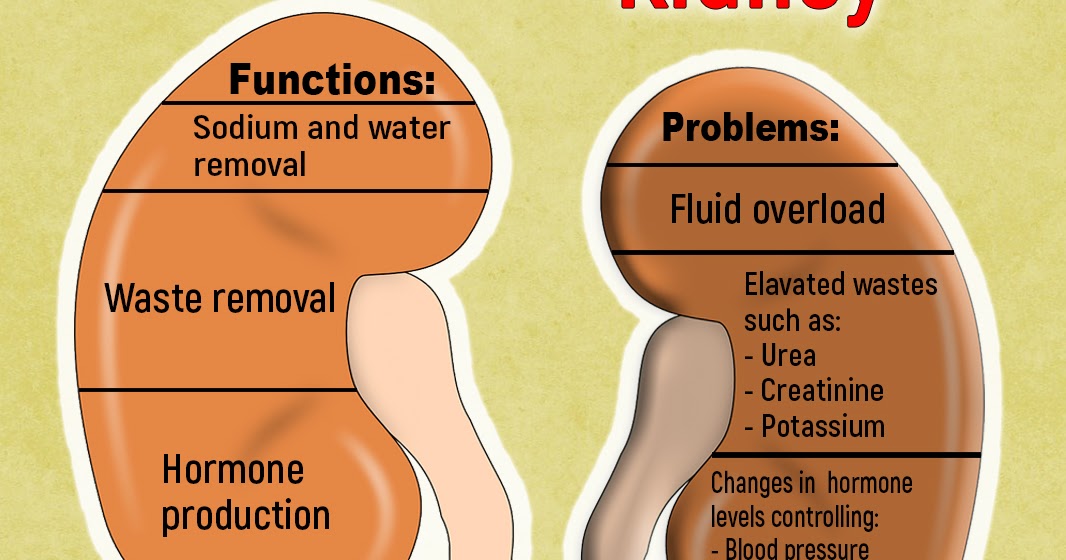 Is it really possible to get off kidney dialysis? HOW DO KIDNEYS WORK?