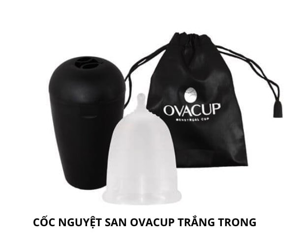 Cốc Nguyệt San Ovacup