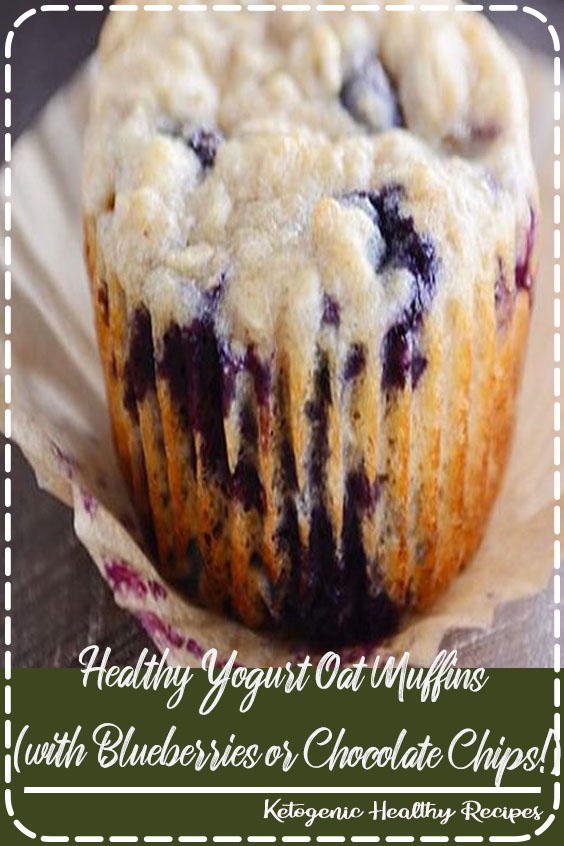 Healthy Yogurt Oat Muffins (with Blueberries or Chocolate Chips!) Healthy Food Delicious
