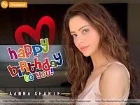 amazing pc wallpaper of aamna sharif 1024x768 download, she is standing near her room gate