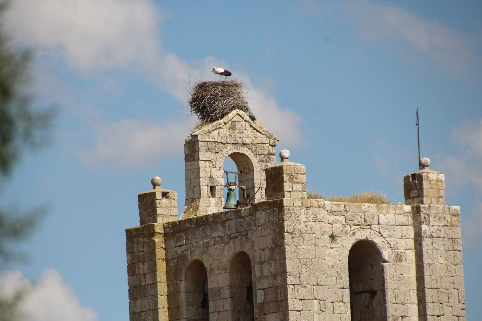 Historia y Genealogía Meneses de Campos y Montealegre de Campos. Palencia