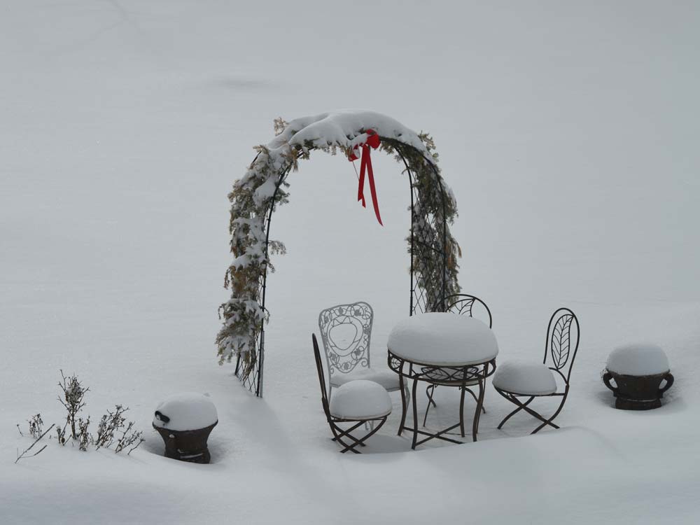Winter Garden in Snow
