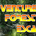 Adventure Forest Escape