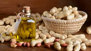 groundnut oil breaking Agriculture in Gujarat peanut crop apmc market price news saw a decrease