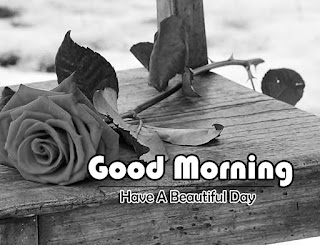 Beautiful-Good-Morning-4k-Images-Download-For-GF-Friend