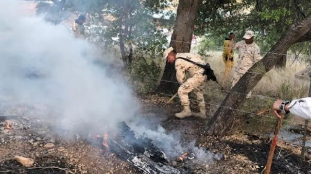 Acaban incendios forestales con mil 233 hectáreas