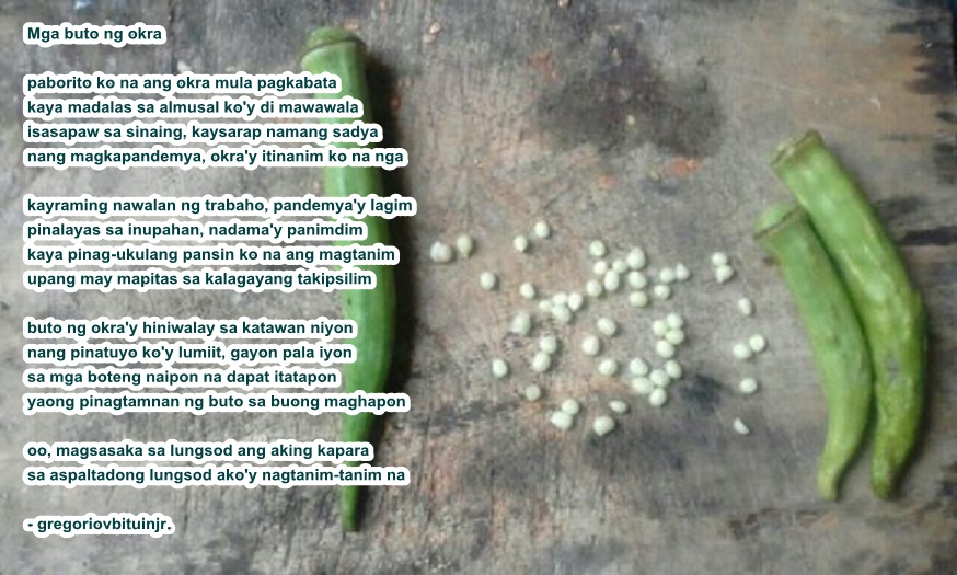 Danumsigwasan Mga buto ng okra