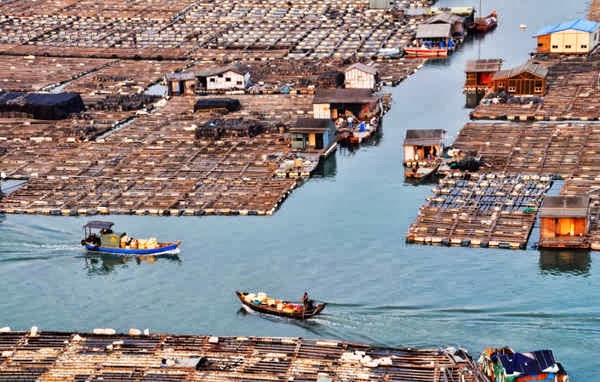 Tanka community, China