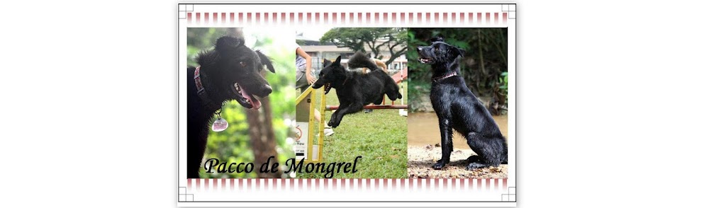 Pacco de Mongrel