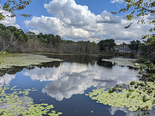 Spruce pond, Franklin, MA