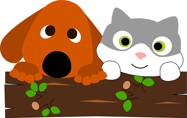 Sandra客製化雅思教學爭取留學機會與生活所需英語力 寵物當家the Secret Life Of Pets