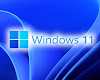  Windows 11 Professional