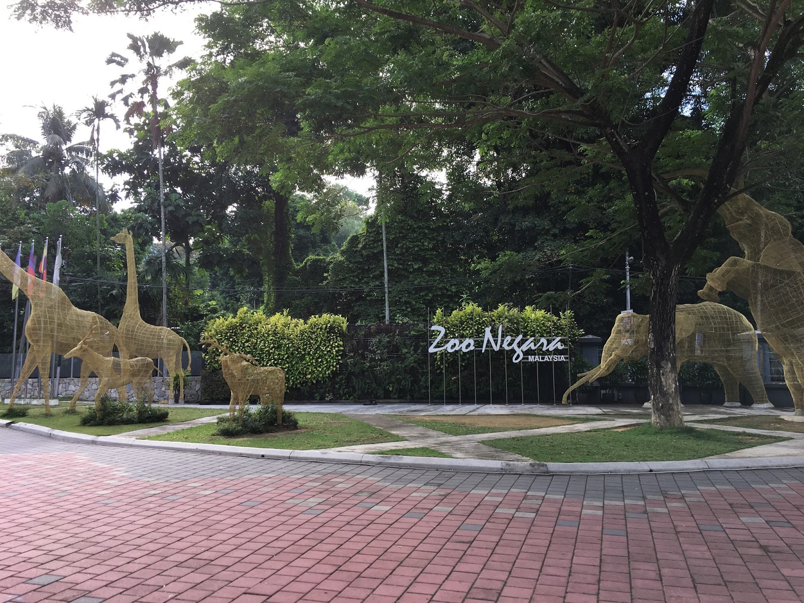 Apa ada dekat Zoo Negara Malaysia athirahassin