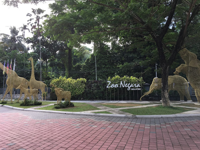 Apa ada dekat Zoo Negara Malaysia - athirahassin