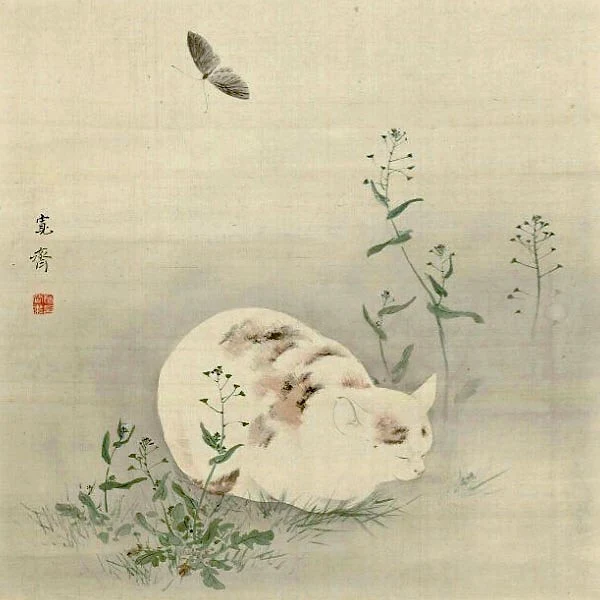 Sleeping Cat by Mori Kansai
