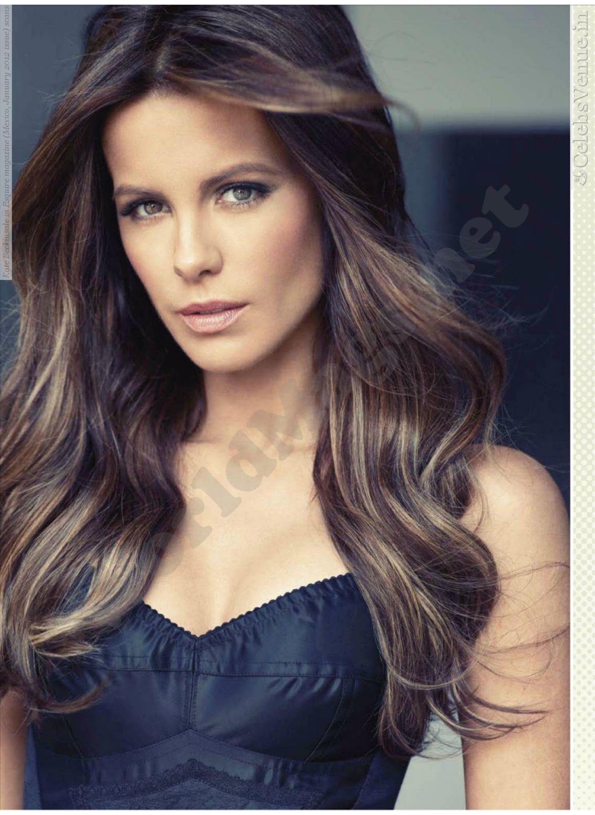Photos Kate Beckinsale Bra Size | Celebrities Pics