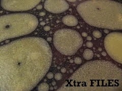 Xtra Files