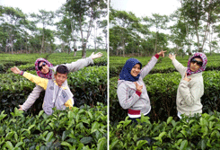 Temu Kangen Keluarga Besar EBM 2018 Di Kebun Teh Wonosari II Pose dengan latar Kebun Teh Wonosari