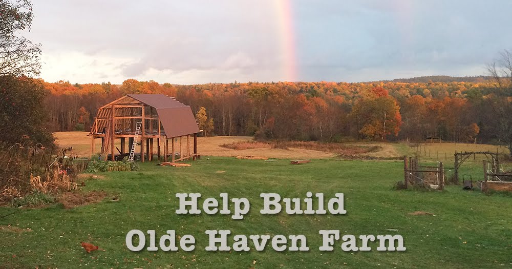 Help Build Olde Haven Farm