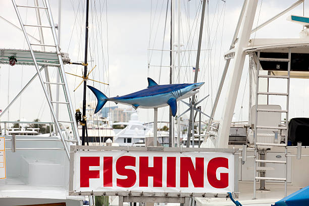 Fishing Charters – Part of a Great Vacation