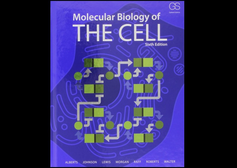 The Cell Bruce Alberts 5th Edition Pdf