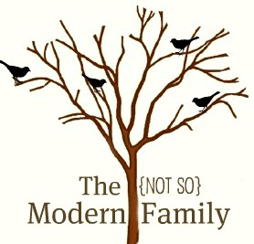the Not so Modern family