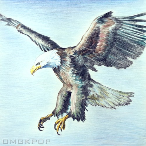 Cho Kyu Chan – My Eagles, Fly High – Single